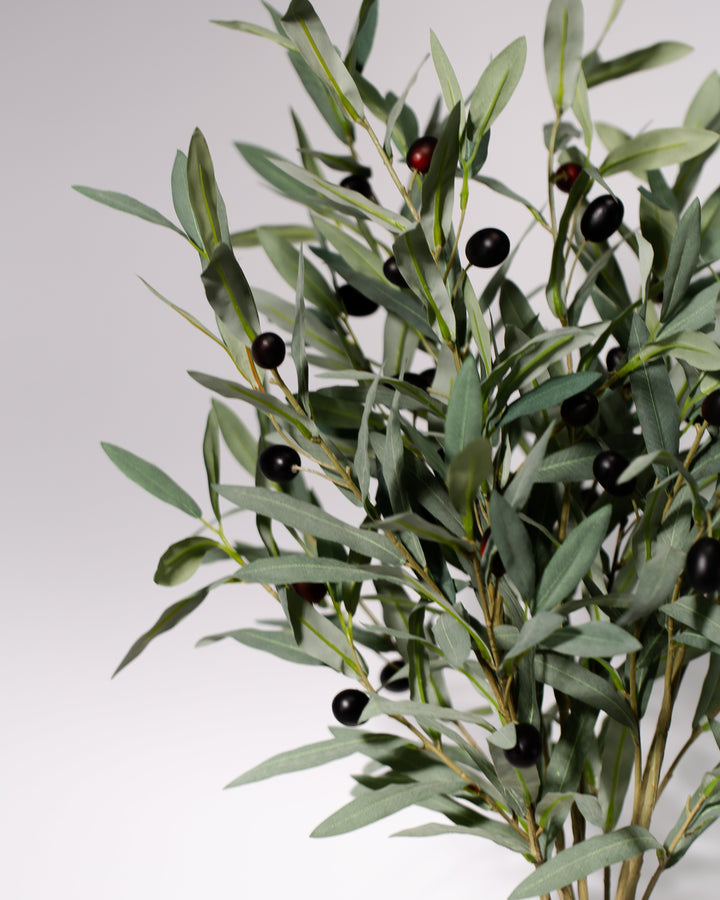 Real Touch Olive Pack of 5 Stems