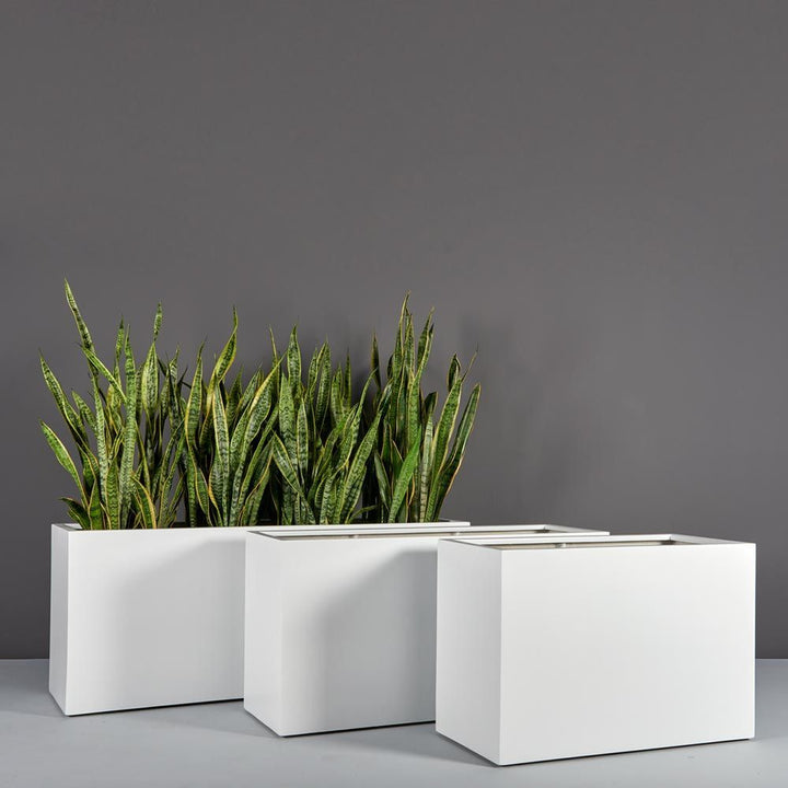 Jay Scotts Fiberglass Mid-Height Rectangle Planters - 24"H to 28"H